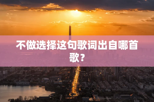 不做选择这句歌词出自哪首歌？