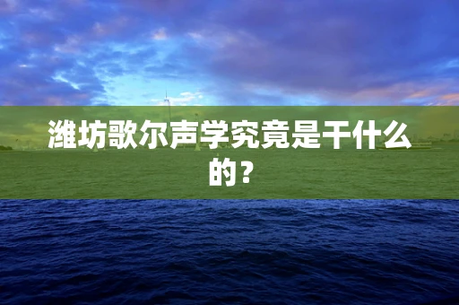 潍坊歌尔声学究竟是干什么的？