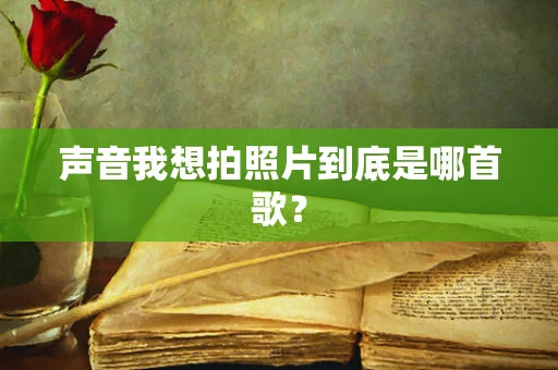 声音我想拍照片到底是哪首歌？