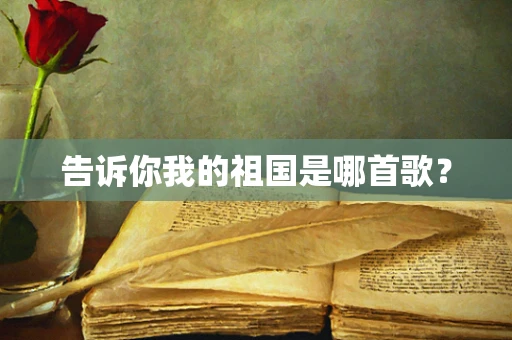 告诉你我的祖国是哪首歌？