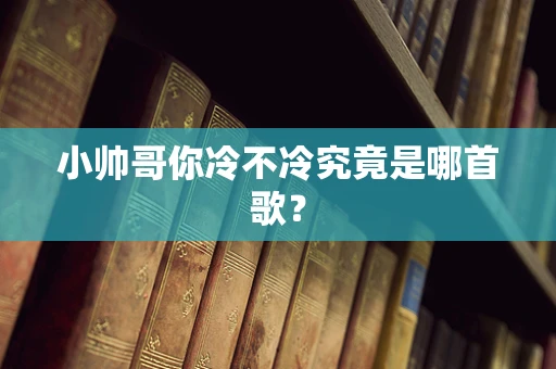 小帅哥你冷不冷究竟是哪首歌？