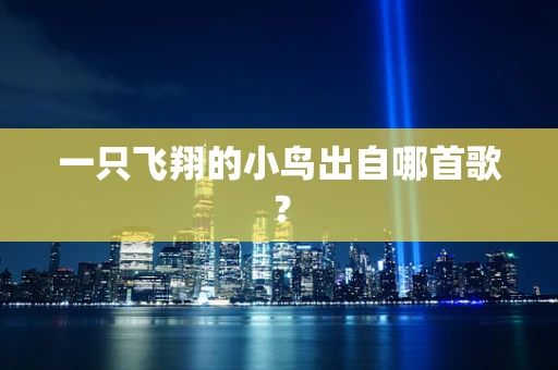 一只飞翔的小鸟出自哪首歌？