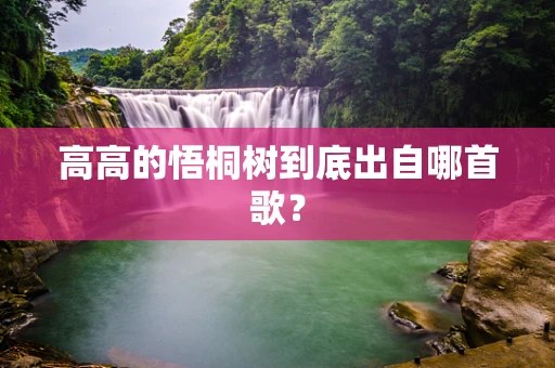 高高的悟桐树到底出自哪首歌？