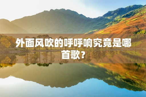 外面风吹的呼呼响究竟是哪首歌？