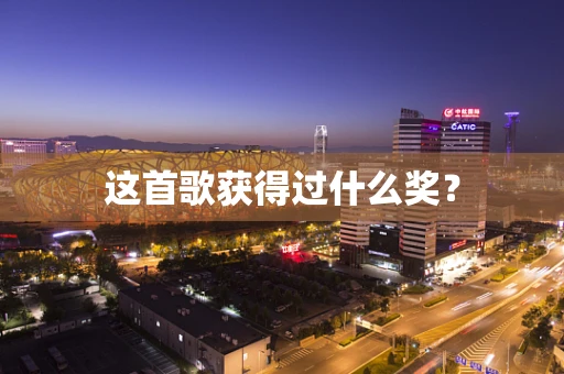 这首歌获得过什么奖？