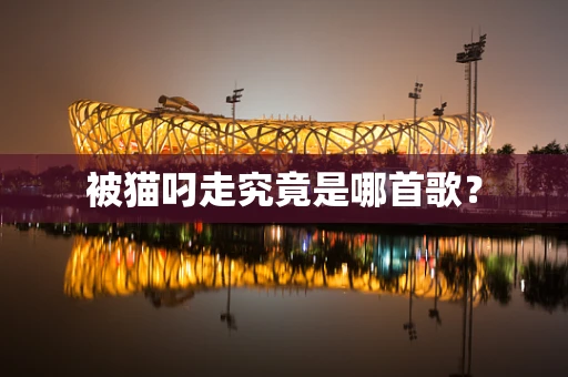被猫叼走究竟是哪首歌？