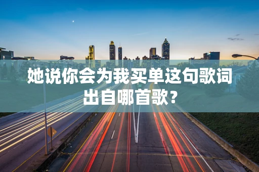 她说你会为我买单这句歌词出自哪首歌？