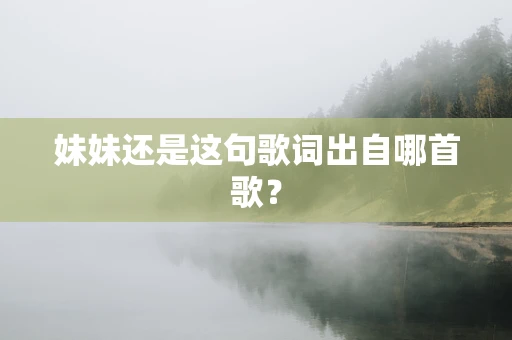 妹妹还是这句歌词出自哪首歌？