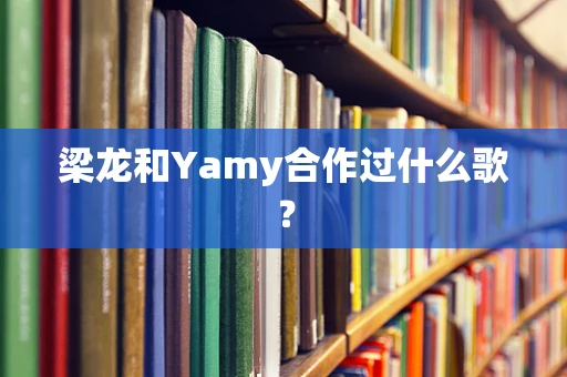 梁龙和Yamy合作过什么歌？