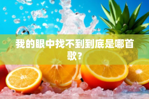 我的眼中找不到到底是哪首歌？