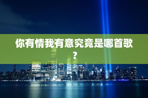 你有情我有意究竟是哪首歌？