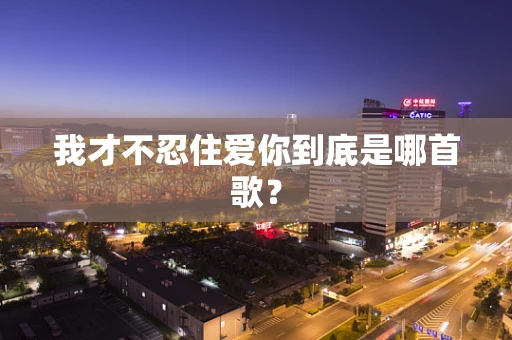 我才不忍住爱你到底是哪首歌？