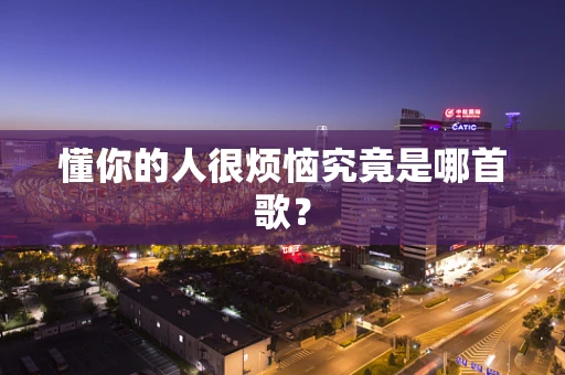 懂你的人很烦恼究竟是哪首歌？