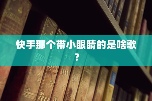 快手那个带小眼睛的是啥歌？