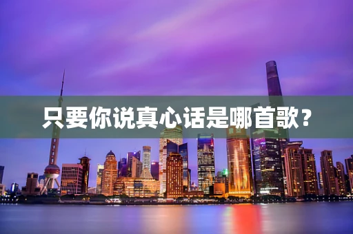 只要你说真心话是哪首歌？