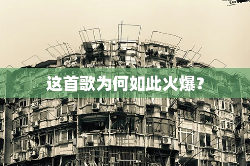 这首歌为何如此火爆？