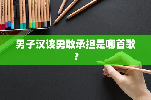 男子汉该勇敢承担是哪首歌？