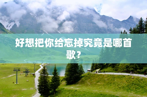 好想把你给忘掉究竟是哪首歌？