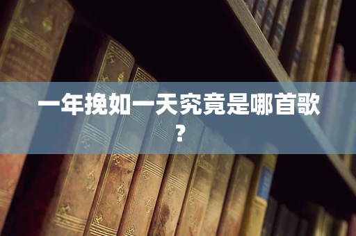 一年挽如一天究竟是哪首歌？