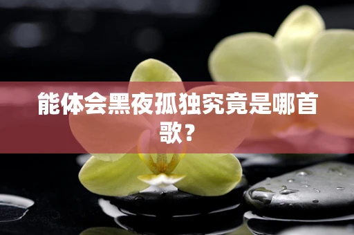 能体会黑夜孤独究竟是哪首歌？