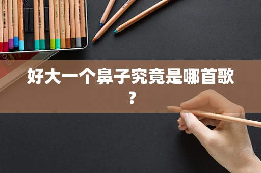 好大一个鼻子究竟是哪首歌？