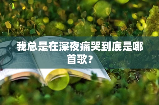 我总是在深夜痛哭到底是哪首歌？