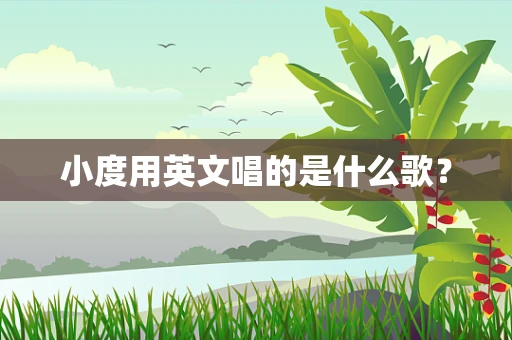 小度用英文唱的是什么歌？