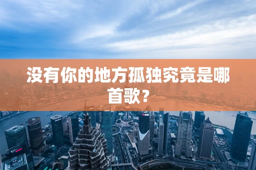 没有你的地方孤独究竟是哪首歌？