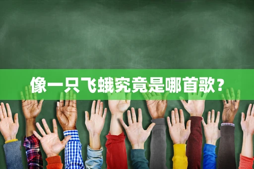 像一只飞蛾究竟是哪首歌？
