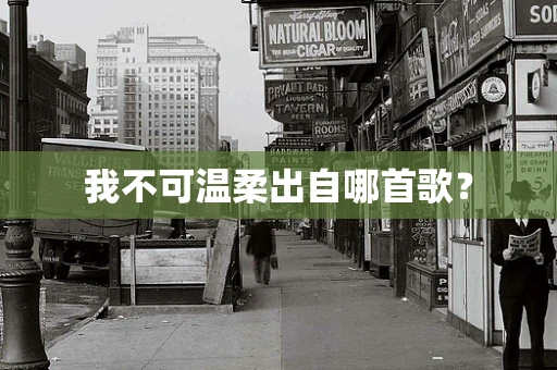 我不可温柔出自哪首歌？
