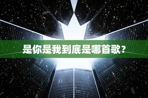 是你是我到底是哪首歌？