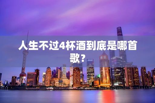 人生不过4杯酒到底是哪首歌？