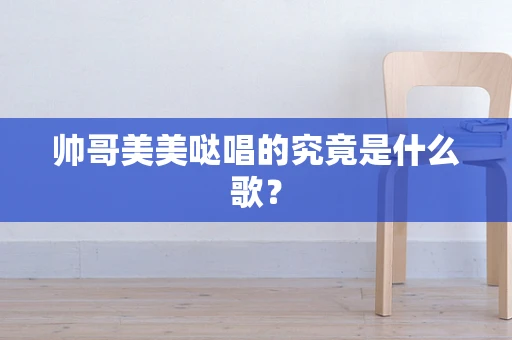 帅哥美美哒唱的究竟是什么歌？