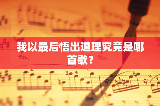 我以最后悟出道理究竟是哪首歌？