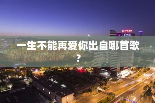 一生不能再爱你出自哪首歌？