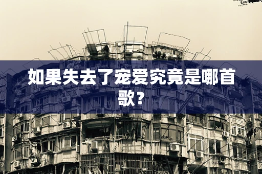 如果失去了宠爱究竟是哪首歌？