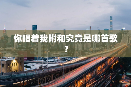 你唱着我附和究竟是哪首歌？