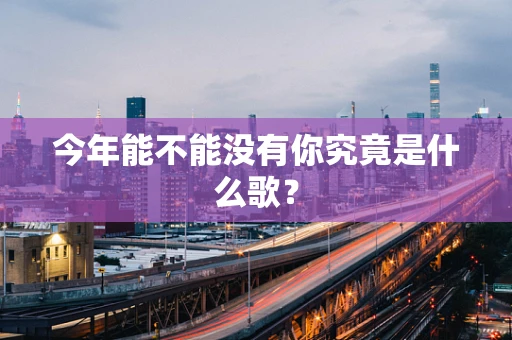 今年能不能没有你究竟是什么歌？
