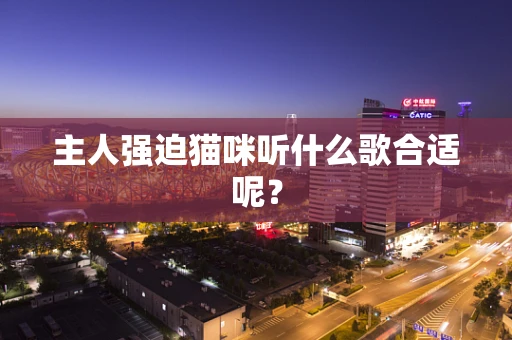 主人强迫猫咪听什么歌合适呢？