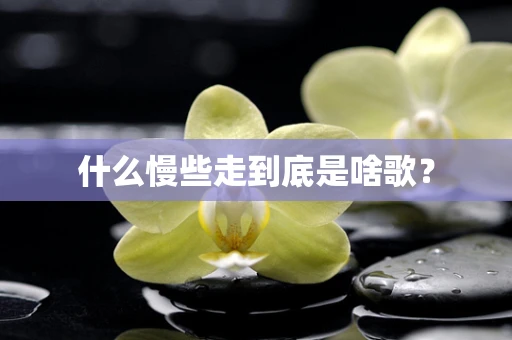 什么慢些走到底是啥歌？