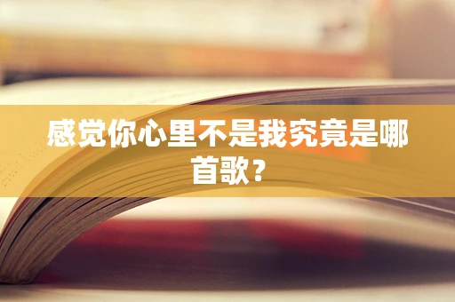 感觉你心里不是我究竟是哪首歌？