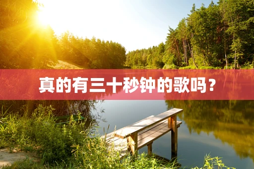 真的有三十秒钟的歌吗？