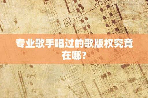 专业歌手唱过的歌版权究竟在哪？