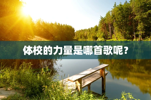体校的力量是哪首歌呢？
