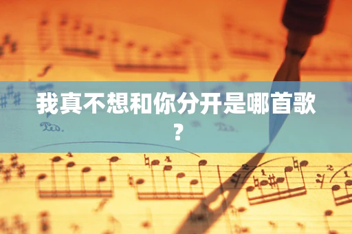 我真不想和你分开是哪首歌？