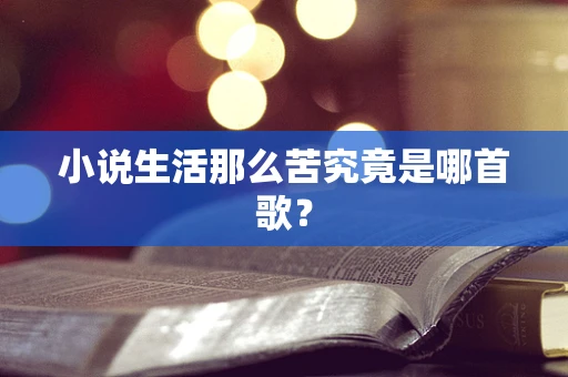 小说生活那么苦究竟是哪首歌？