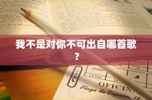 我不是对你不可出自哪首歌？