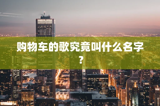 购物车的歌究竟叫什么名字？