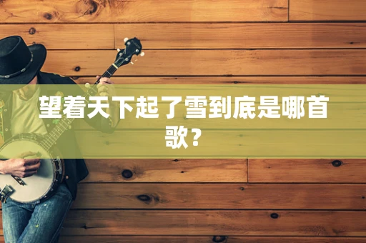 望着天下起了雪到底是哪首歌？