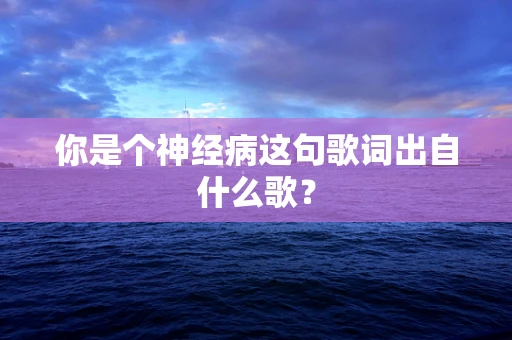 你是个神经病这句歌词出自什么歌？
